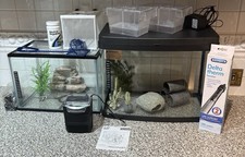 Aquarium tropical fish for sale  NEWTON AYCLIFFE
