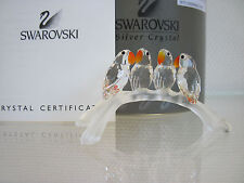 love birds gebraucht kaufen love birds gebraucht kaufen Perl