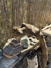 Manzanita driftwood for sale  Palm Springs