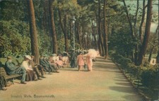 Bournemouth invalids walk for sale  ROSSENDALE