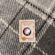 Charlatans bands metal for sale  DONCASTER