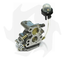 Carburatore c1t w33c usato  Avigliana
