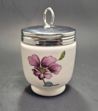 Royal worcester porcelain for sale  Merlin