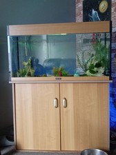 Fish tank aquarium for sale  LAUNCESTON