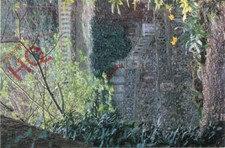 Picture postcard plantation for sale  NEWCASTLE UPON TYNE