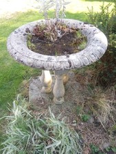 Antique vintage bird for sale  LLANFAIRPWLLGWYNGYLL