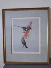 Rena fennessy exotic for sale  BALERNO