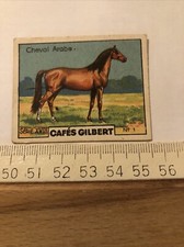 Image cheval arabe d'occasion  Montluçon