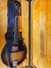 1970s alvarez mandolin. for sale  Olympia