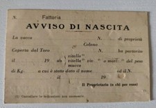 nascita libro usato nascita libro usato Italia