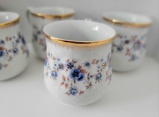 Conjunto raro de 6 xícaras H&C Haas & Cjzeck canecas bolha checas porcelana pré-1938 comprar usado  Enviando para Brazil
