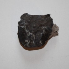 Crabe fossile indéterminé d'occasion  Saint-Just-de-Claix