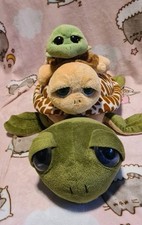 Three turtle tortoise for sale  MALTON