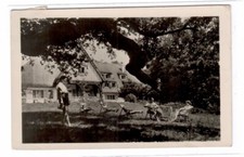 82- Bujak Judülö 1938 na sprzedaż  Wysyłka do Poland
