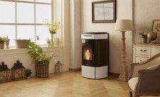 Stufa pellet hydro usato  Ardea