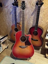 Takamine tdp 861c usato  Spedire a Italy