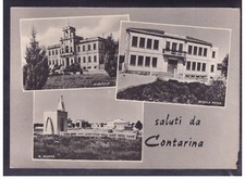 Cartolina saluti contarina usato  Italia