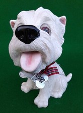 little paws dogs for sale little paws dogs for sale BROMSGROVE