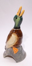 Australia pie bird for sale  Santa Clara