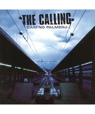 Camino palmero calling gebraucht kaufen  Trebbin