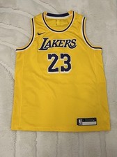 Nike lebron james gebraucht kaufen  Berlin