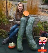 Winter squash seeds for sale  CHIGWELL