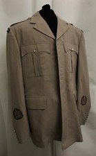 Irish guards fawn for sale  HOCKLEY