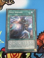 Soul servant ra03 for sale  LEICESTER