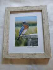 Danny driscoll framed for sale  Purlear