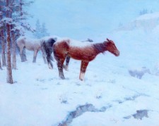 Gollings william shelter for sale  UK
