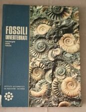 Fossili invertebrati. istituto usato  Brindisi