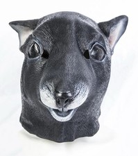 Black rat latex for sale  LONDON