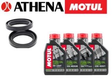 Kit paraoli olio usato  Italia