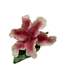 Fiore giglio porcellana usato  Spedire a Italy