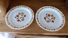 Lot anciennes assiettes d'occasion  Pulversheim