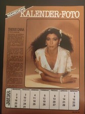 IRENE CARA Great 1 Page Danish Clipping Rare C157 comprar usado  Enviando para Brazil