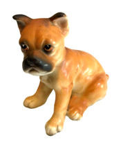 Adorable boxer pup for sale  Fort Wayne