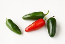 55+ Jalapeno M Pimenta GRANDE Sementes de Herança Hot Spicy NÃO-OGM VENDEDOR EUA ENVIO RÁPIDO comprar usado  Enviando para Brazil
