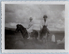 Vietnam dalat poneys d'occasion  Pagny-sur-Moselle