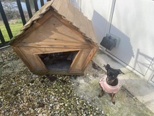 Small dog kennel for sale  EVESHAM