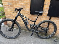 Giant trance balsam for sale  BARNSLEY