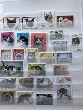Sammlung katzen gebraucht kaufen  Velten
