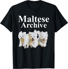 Cute dog maltese for sale  Amityville