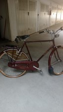 Bicicletta usata uomo usato  Ziano Piacentino