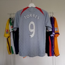 Liverpool trikot fernando gebraucht kaufen  Großenhain