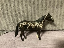 quarter horses for sale quarter horses for sale Haines