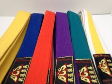 Bcs karate martial for sale  MANSFIELD