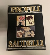 Profili franco saudelli usato  Torino