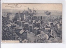 Epernay beekeeping epernay d'occasion  Expédié en Belgium