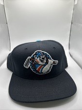 Vintage charlotte checkers for sale  Rochester